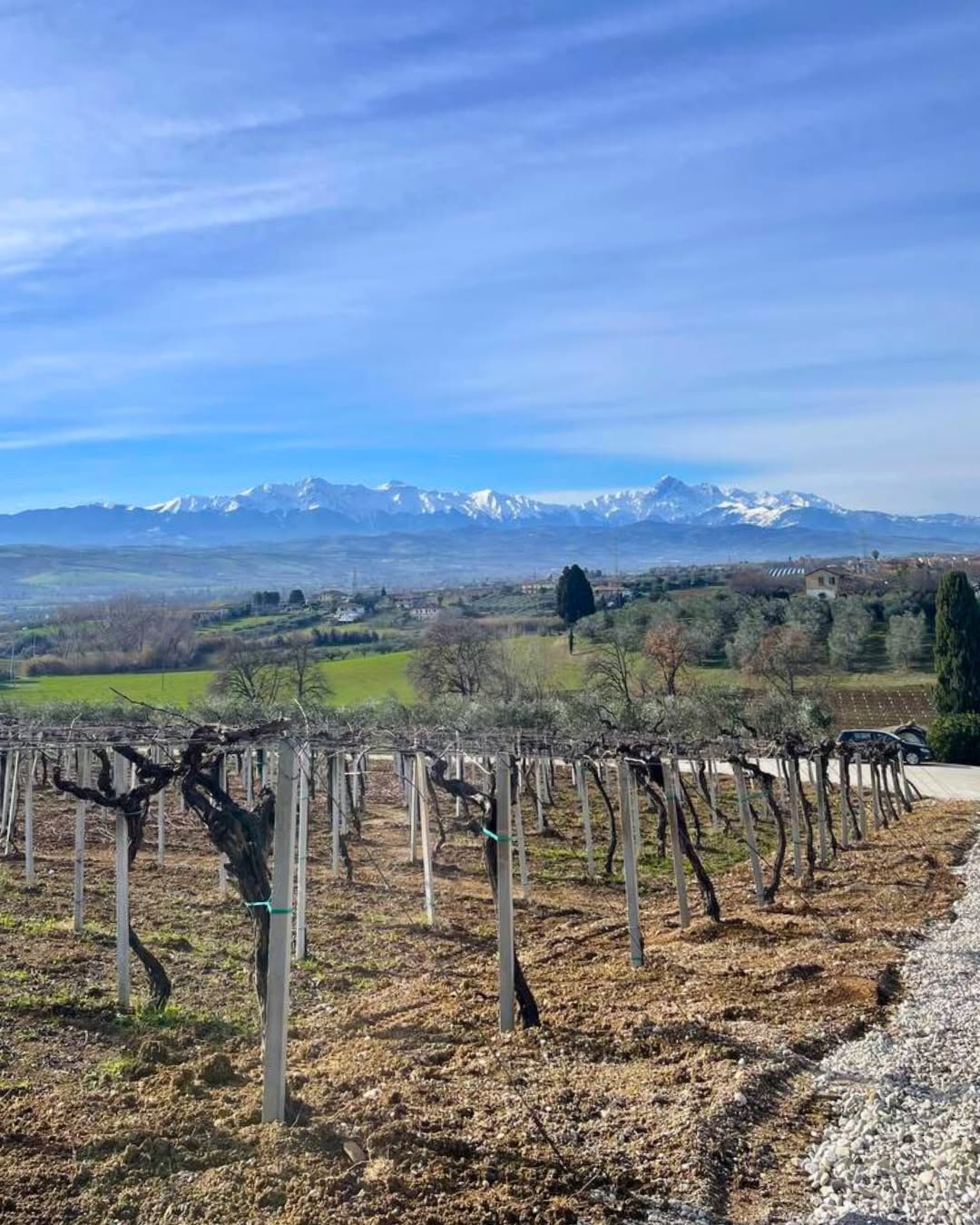 Olio & Vino Experience - immagine 5