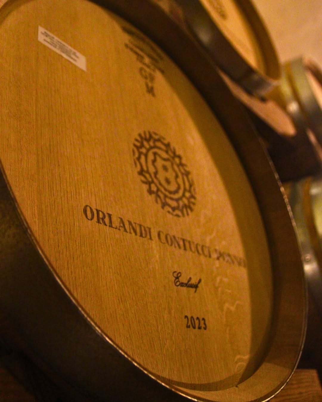 Olio & Vino Experience - immagine 6
